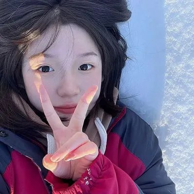 科搜研之女 第20季